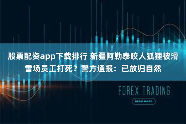 股票配资app下载排行 新疆阿勒泰咬人狐狸被滑雪场员工打死？警方通报：已放归自然